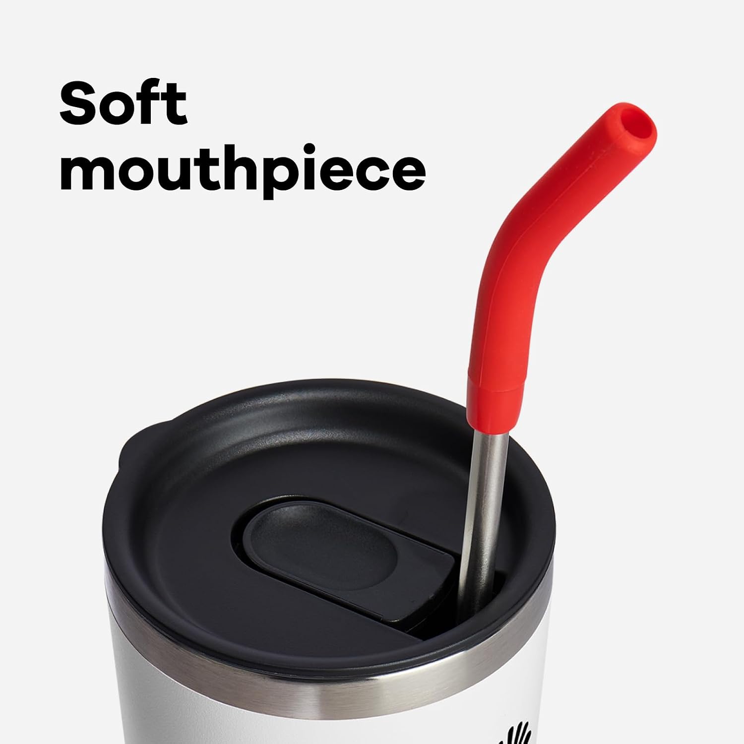 Hydro Flask Stainless Steel Straw Set Goji