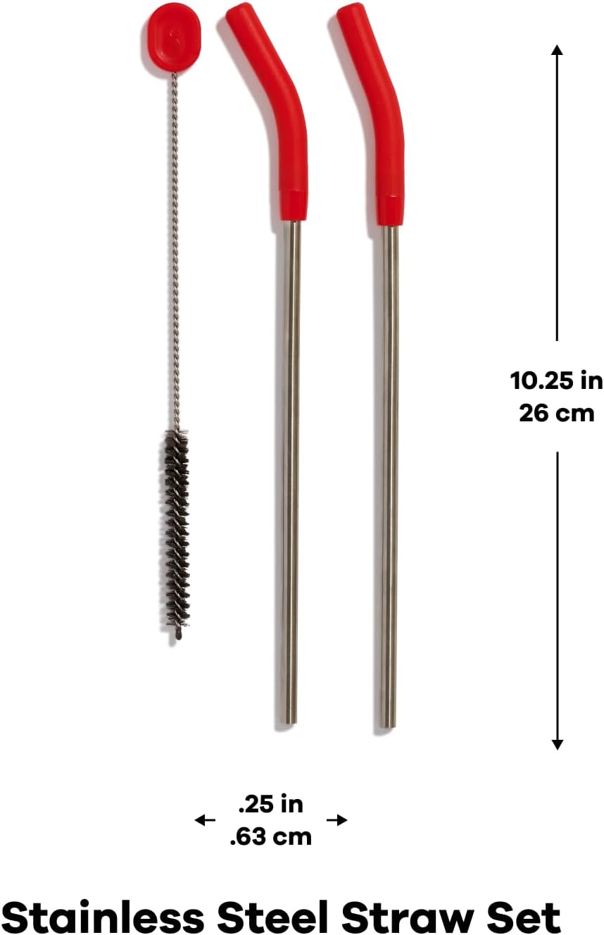 Hydro Flask Stainless Steel Straw Set Goji